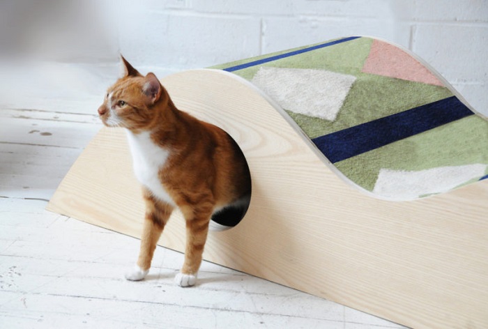 jeux tendance pour chat